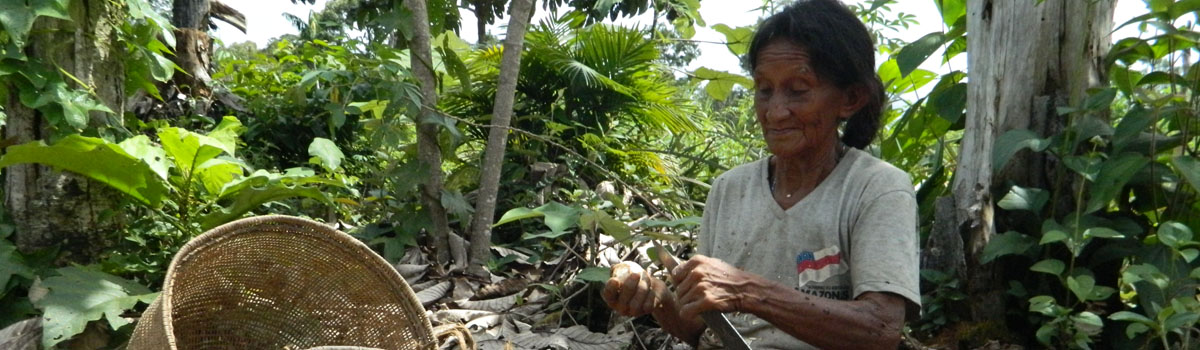 Melissa Santana de Oliveira - A Desana woman, Northwest Amazonia