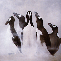 Great Auks in the mist by Errol Fuller