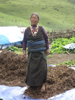 Dhanni grinds Kartuki with her feet, a technique which removes the soil and other debris from the medicinal herb (Anthony Howarth, 2016)