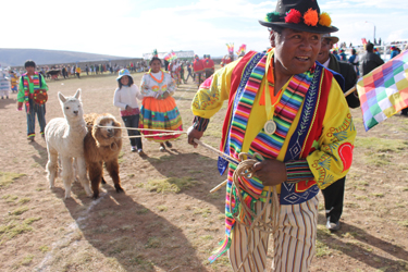  Tío Vicente pulls the reluctant third-place prizes (two alpacas) back to his group of dancers following the village’s annual dance competition (Corinna Howland, 2017)