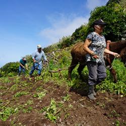 Ploughing lost ground