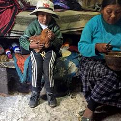 Anel Lopez de Romana's research in Puno, photo two
