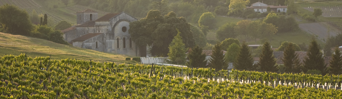 Vignoble du Cognac (credit: OT Cognac / H. Chaillot) Vignoble du Cognac (credit: OT Cognac / H. Chaillot)