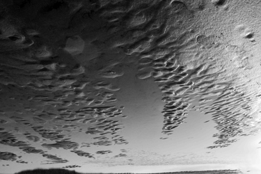 “… far from facing each other on either side of an impenetrable division between the real and the immaterial, earth and sky are inextricably linked within one indivisible field.” (Natalie Morningstar, 2016) “… far from facing each other on either side of an impenetrable division between the real and the immaterial, earth and sky are inextricably linked within one indivisible field.” (Natalie Morningstar, 2016)