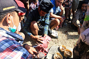 Reading a pig's liver