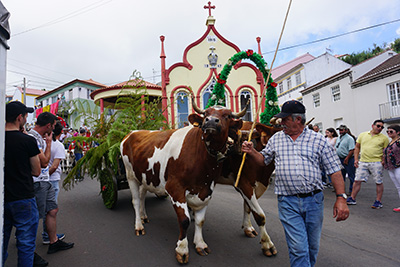 Tim Pohlmann's research in the Azores