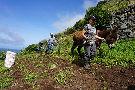 Ploughing lost ground