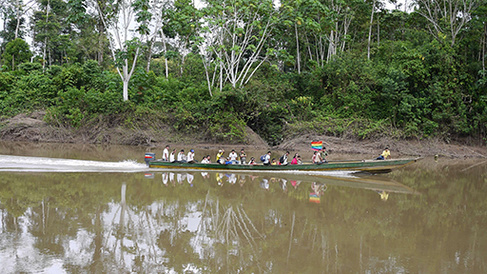 The State of Amazonia