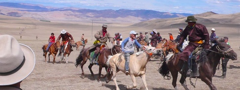 Horse Race (credit: David Sneath)