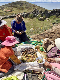 Anel Lopez de Romana's research in Puno