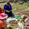 Food Ethnography