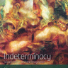 Dr Andrew Sanchez: Indeterminacy: Waste, Value, and the Imagination