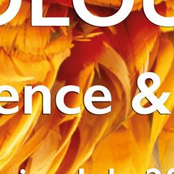 COLOUR exhibition at the MAA