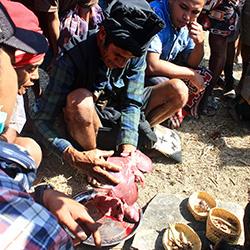 Reading a pig's liver