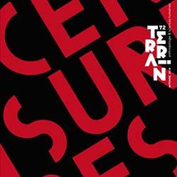 Special Issue of Terrain