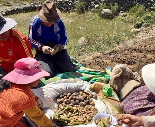 Food Ethnography
