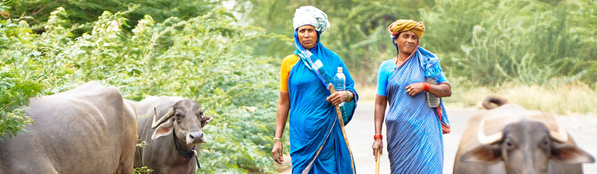Women farmers in Karnataka, India 