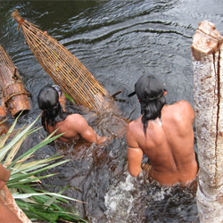 The Enawenê-nawê people, Amazon rainforest (credit: Chloe Nahum-Claudel)