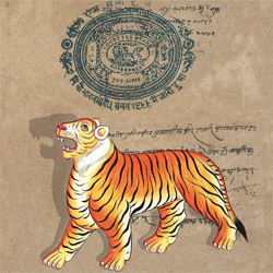 Dr Nayanika Mathur - Paper Tiger 