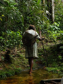 Balbina, a Desana old woman, on her way to the manioc garden (Melissa Santana de Oliveira, 2014) 