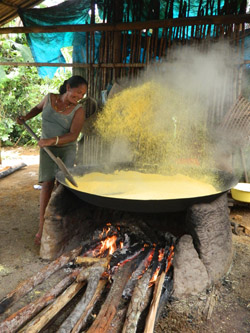 Silvia, a Tukano woman producing farinha (poka) (Melissa Santana de Oliveira, 2014)