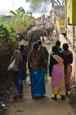 Local women in Mayapur (John Fahy, 2013)
