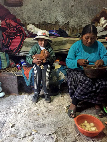 Anel Lopez de Romana's research in Puno, photo two