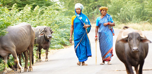 Women farmers in Karnataka, India
